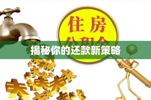 郓城揭秘你的还款新策略