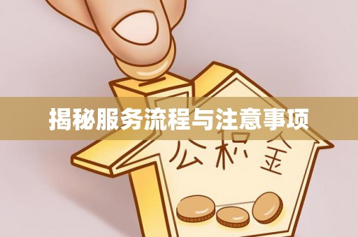 郓城揭秘服务流程与注意事项