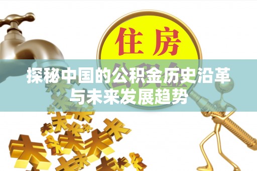 郓城探秘中国的公积金历史沿革与未来发展趋势