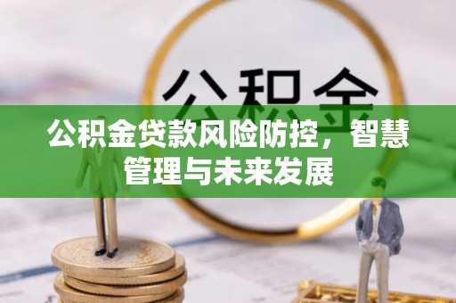 郓城公积金贷款风险防控，智慧管理与未来发展