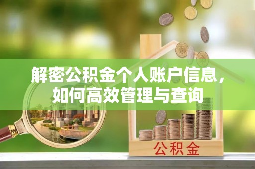 郓城解密公积金个人账户信息，如何高效管理与查询