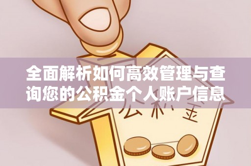 郓城全面解析如何高效管理与查询您的公积金个人账户信息