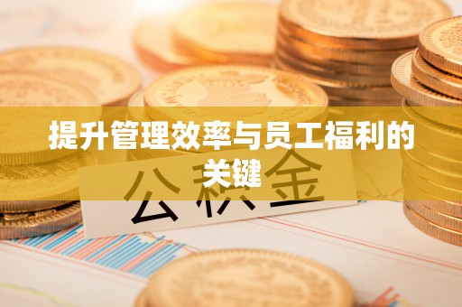 郓城提升管理效率与员工福利的关键