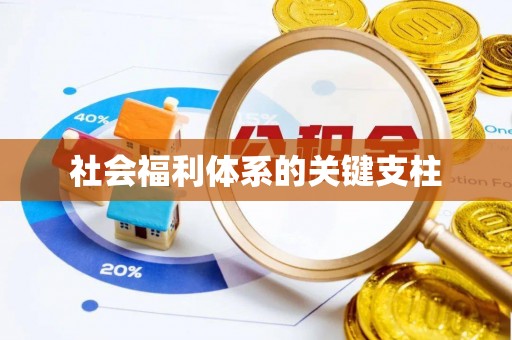 郓城社会福利体系的关键支柱