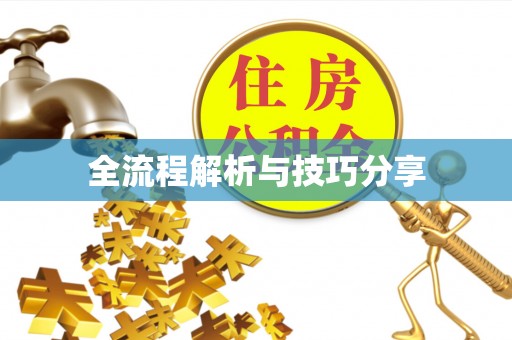 郓城全流程解析与技巧分享