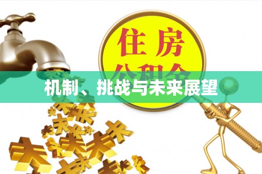 郓城机制、挑战与未来展望