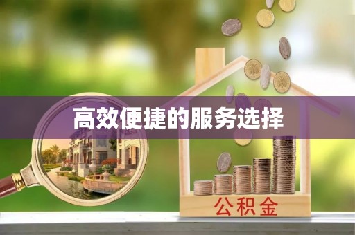 郓城高效便捷的服务选择