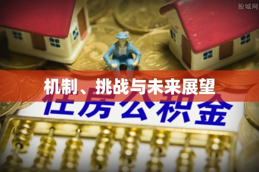 郓城机制、挑战与未来展望